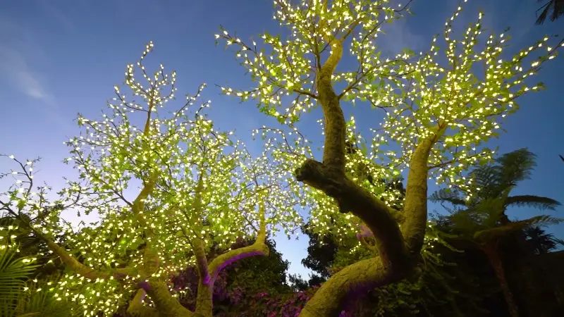 The great tree strung with thousands of fairy lights at The Enchanted Manor