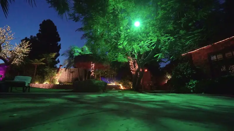 The back garden lit green and gold at night at The Enchanted Manor